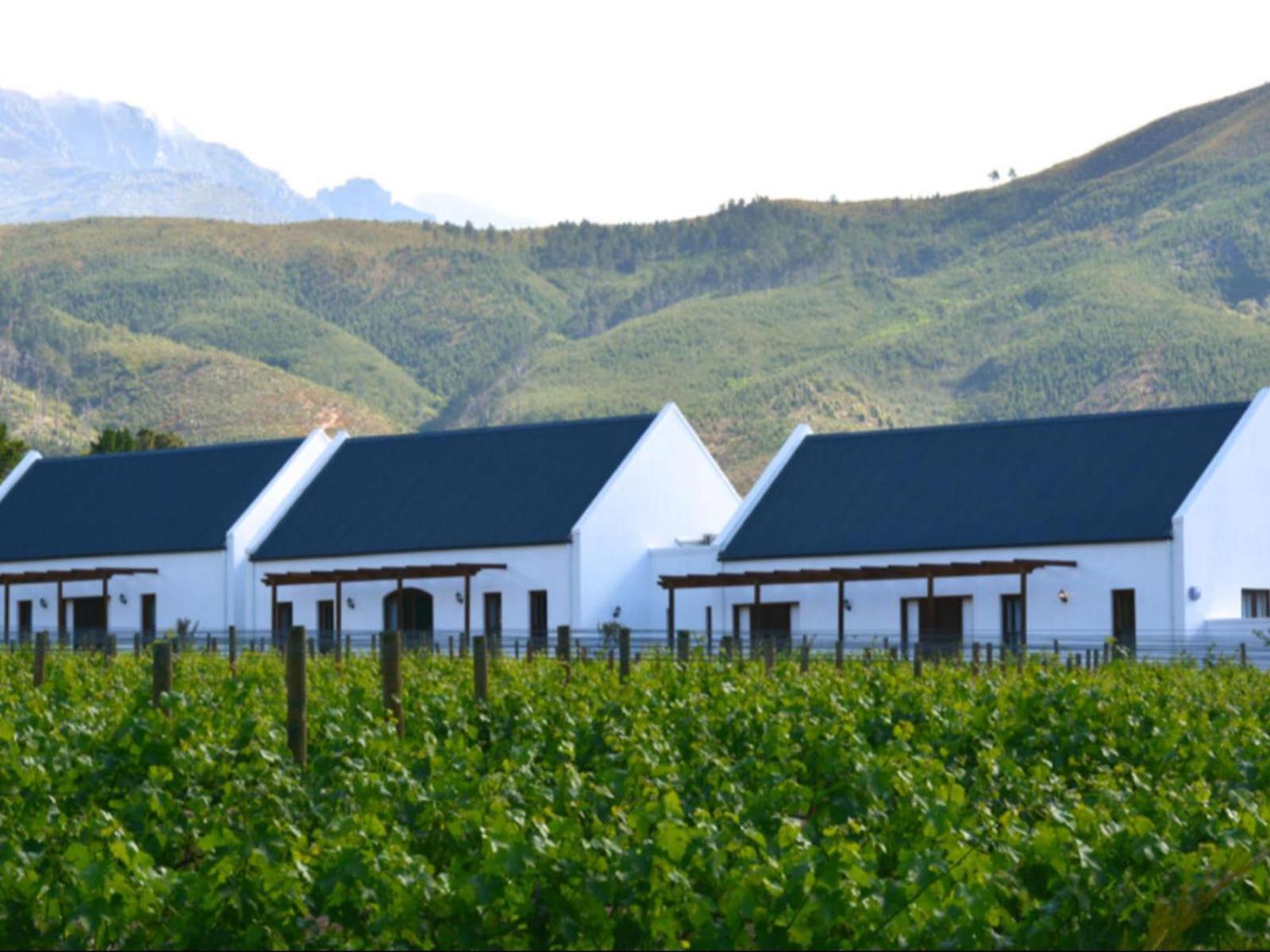 Bed and Breakfast Chambray Estate - The Terraces In The Vines Franschhoek Zewnętrze zdjęcie