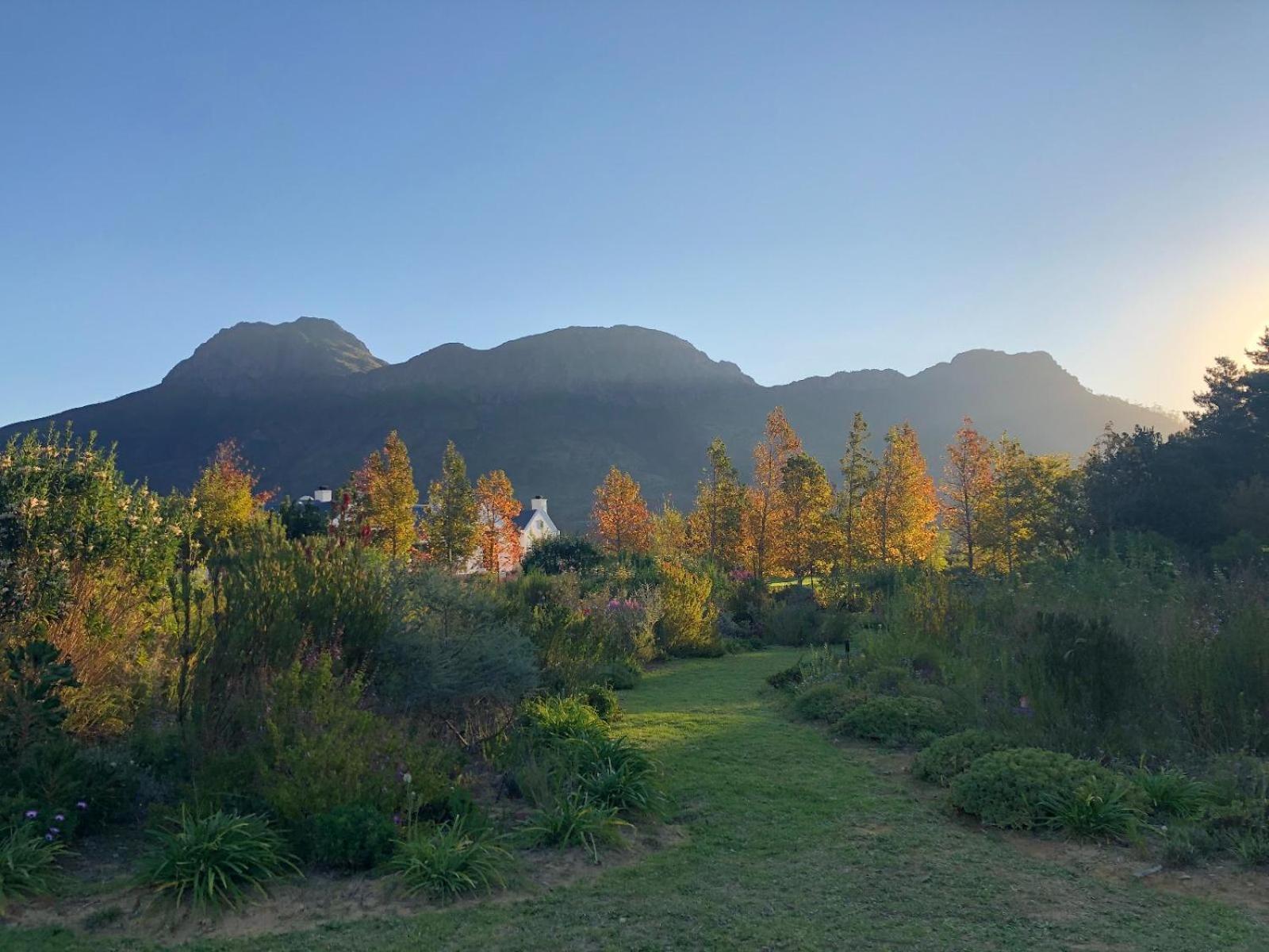 Bed and Breakfast Chambray Estate - The Terraces In The Vines Franschhoek Zewnętrze zdjęcie