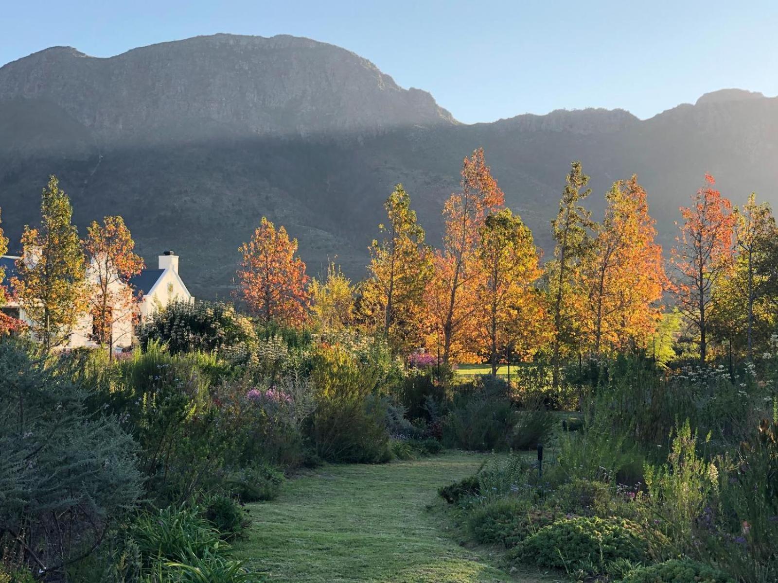 Bed and Breakfast Chambray Estate - The Terraces In The Vines Franschhoek Zewnętrze zdjęcie